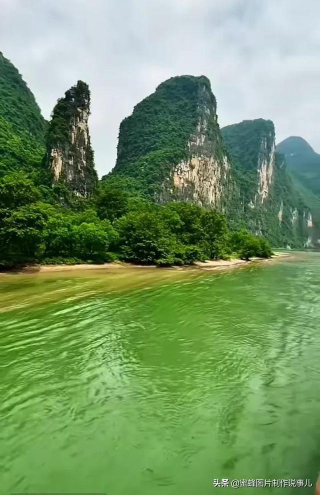 探索知识星球平台降临之翼怎么领的魅力